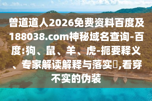 曾道道人2026免费资料百度及188038.com神秘域名查询-百度:狗、鼠、羊、虎-扼要释义、专家解读解释与落实,看穿不实的伪装